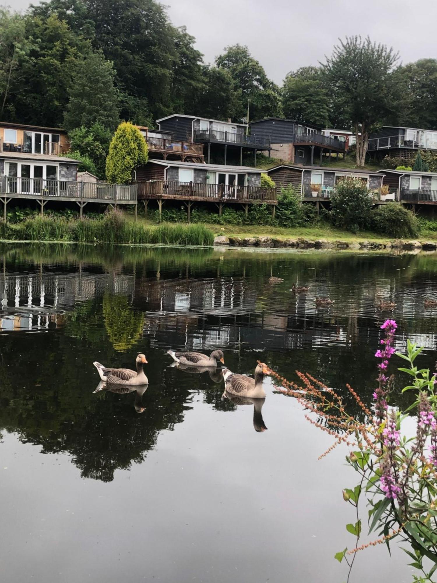 Chalet 64, Lakeside, Glan Gwna Holiday Park Caernarfon Extérieur photo